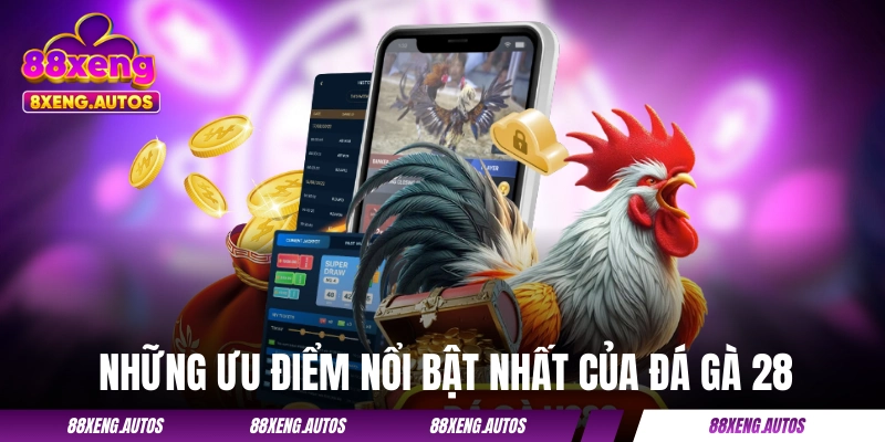 Đá Gà 88XENG - Cung Cấp 100+ Trận Chất Lượng Hàng Ngày